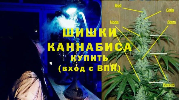 COCAINE Белокуриха
