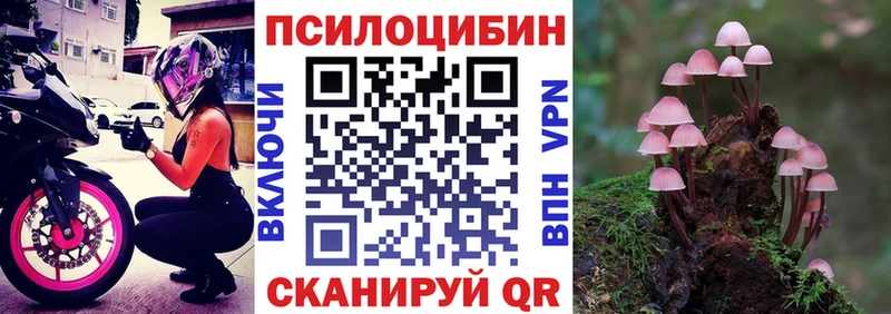 Псилоцибиновые грибы прущие грибы купить цена Вельск